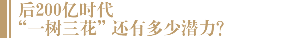 后200亿时代,郎酒还有多少潜力?