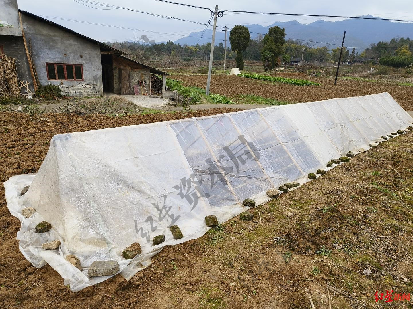 老干妈“断网”背后:辣椒议价能力弱