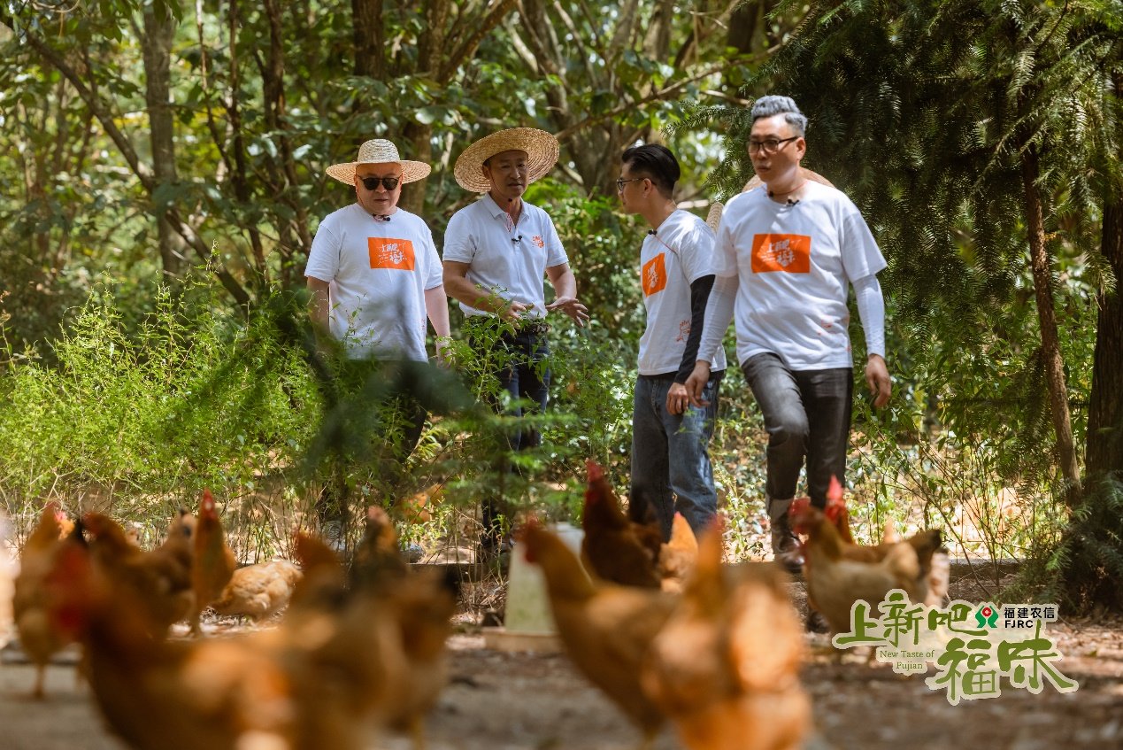 助力福建绿色地标食材走出“深闺”，《上新吧，福味》在京举办开播发布会