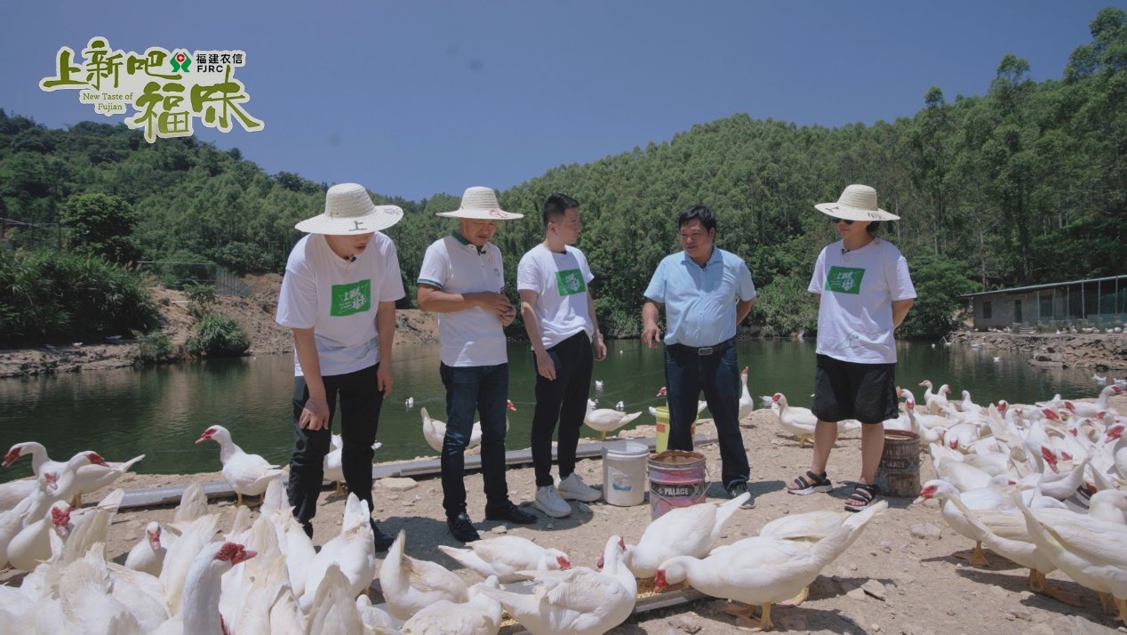 助力福建绿色地标食材走出“深闺”，《上新吧，福味》在京举办开播发布会