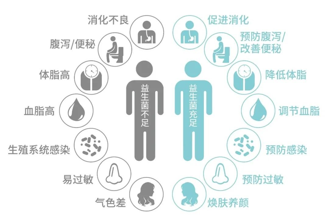 突破进口菌株垄断，伊利携手中国航天开启国产替代燎原之势