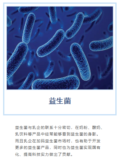 益生菌,既是乳企的老朋友,又是新战场