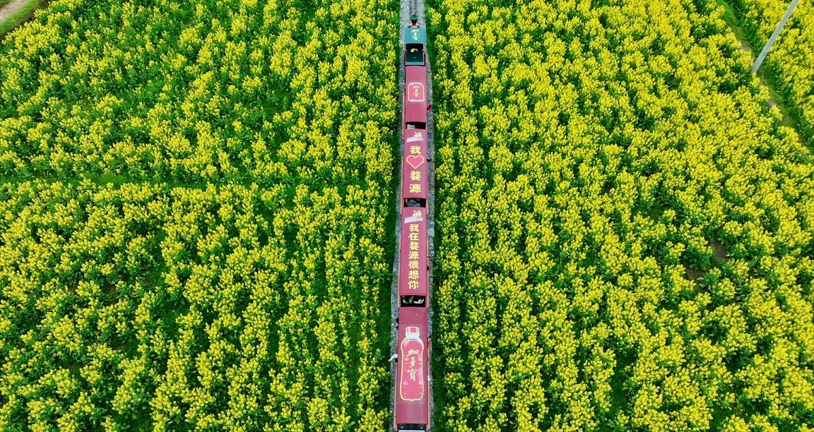 踏青露营“百花齐放”,加多宝助推春日消费热潮