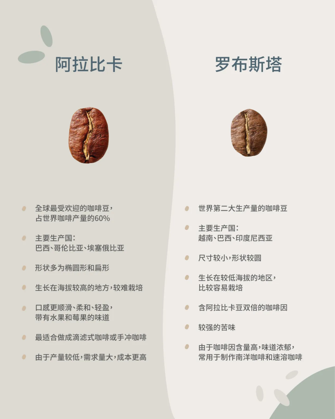 瓶装咖啡，卷死瑞幸
