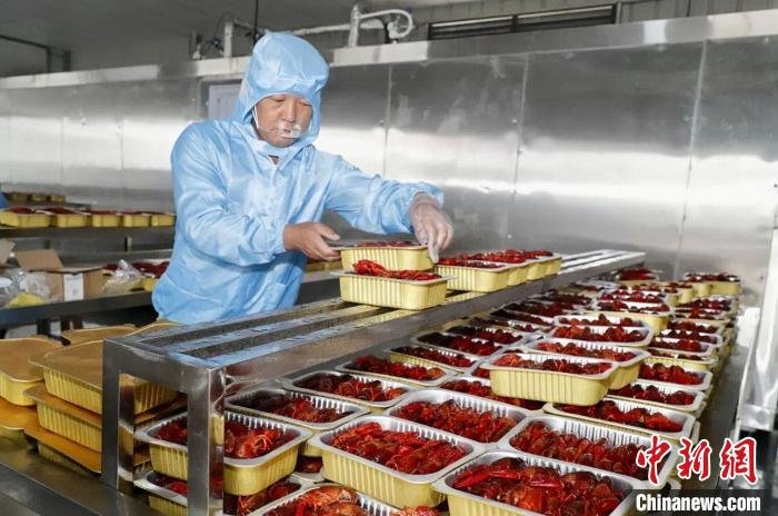 南昌建成首条小龙虾预制菜生产线,日产1万余斤