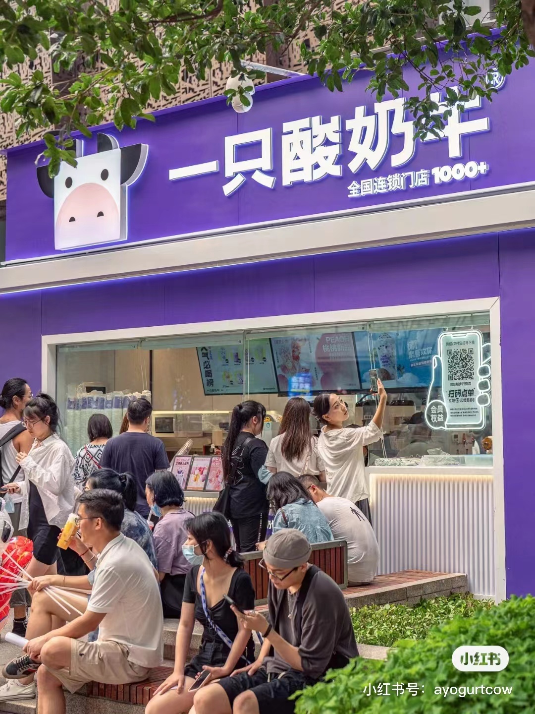 踩着新茶饮上位,谁在为现制酸奶买单?