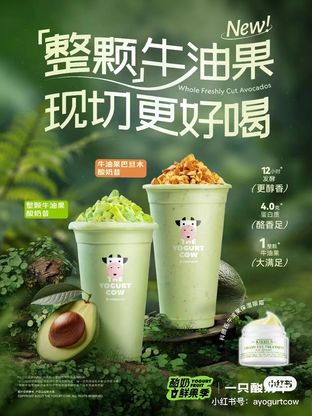 踩着新茶饮上位,谁在为现制酸奶买单?