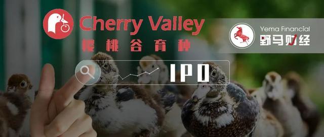 养鸭比茅台还挣钱!“鸭祖宗”生意年入近3亿冲刺IPO