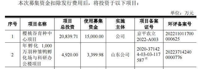 养鸭比茅台还挣钱!“鸭祖宗”生意年入近3亿冲刺IPO