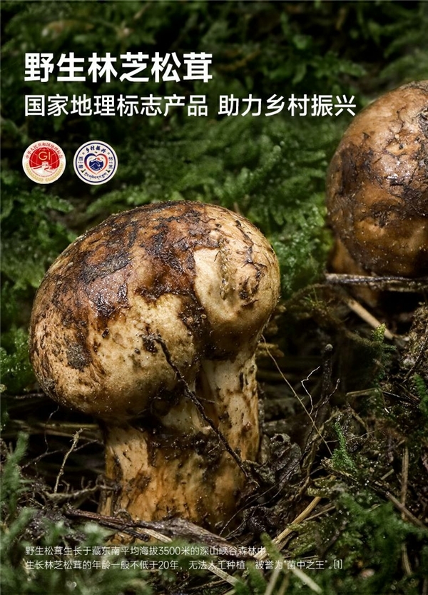 助力西藏乡村振兴 健康调味品牌林小生推出林芝松茸酱油