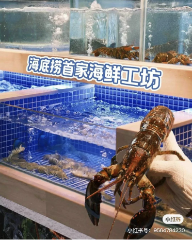 连锁餐饮,卷进3000所大学校园