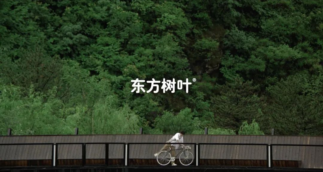 东方树叶,一本节气营销的教科书