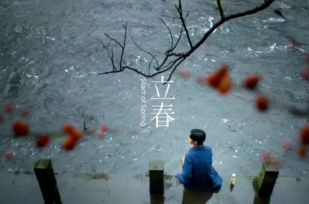 东方树叶,一本节气营销的教科书