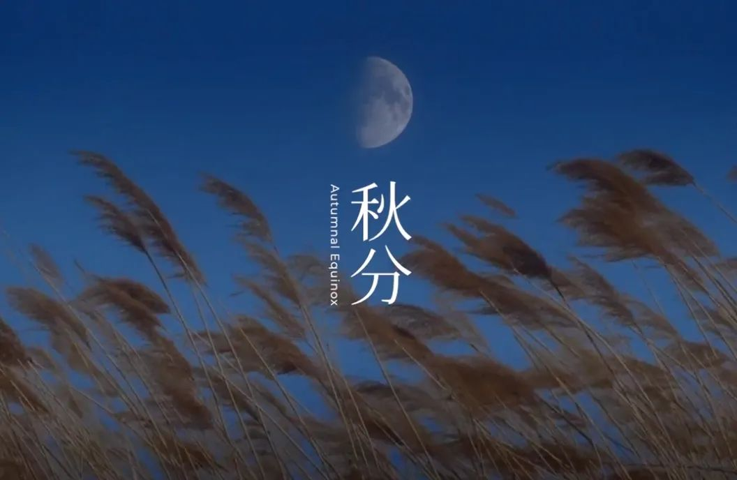 东方树叶,一本节气营销的教科书