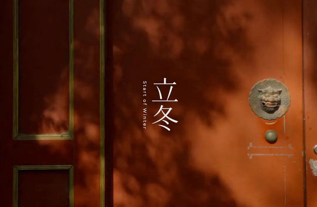 东方树叶,一本节气营销的教科书