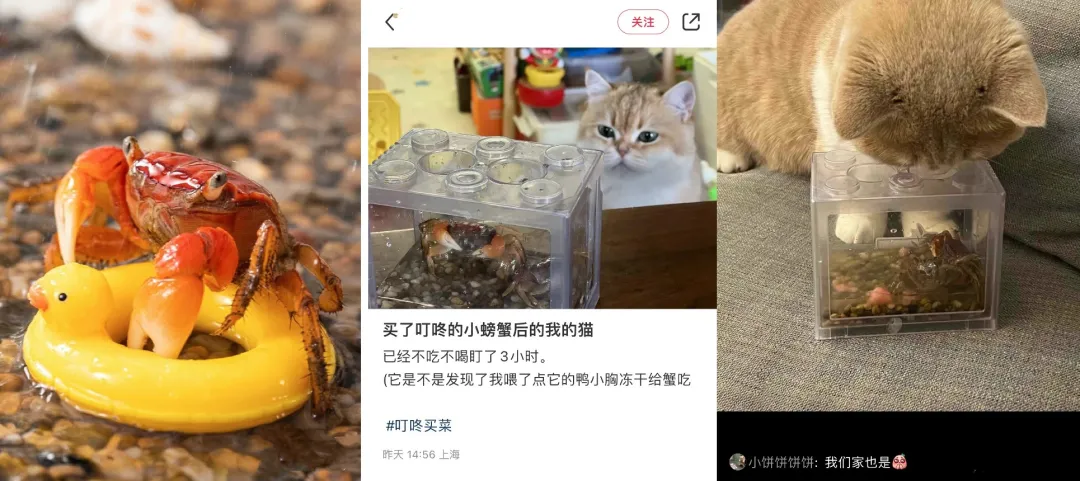 对话“叮咚买菜”:一个认真卖菜的品牌,忙着发展“花鸟市场”副业?