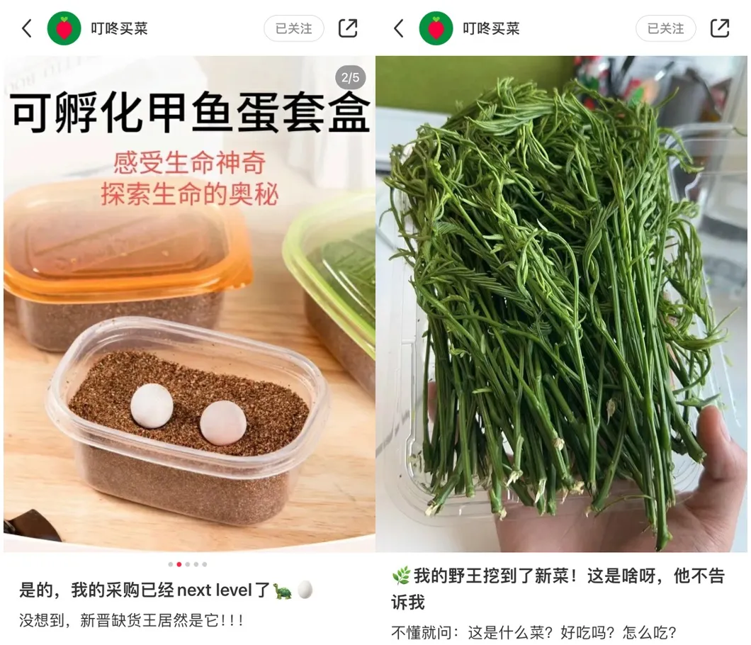 对话“叮咚买菜”:一个认真卖菜的品牌,忙着发展“花鸟市场”副业?