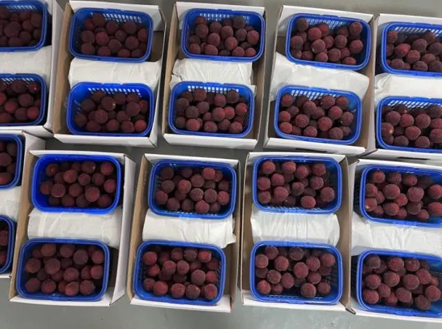 仙居杨梅出海,一颗大™番茄狂销,黄天鹅成品类代表,这些农产品靠啥火起来?