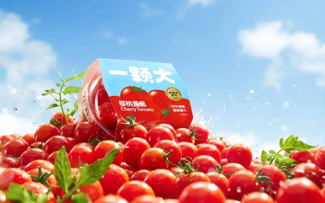 仙居杨梅出海,一颗大™番茄狂销,黄天鹅成品类代表,这些农产品靠啥火起来?
