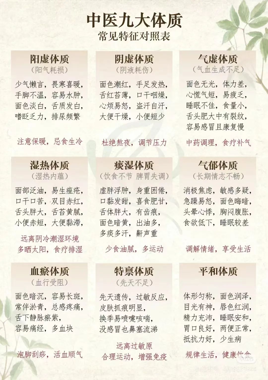 元气森林们盯上的“中式养生”食品赛道,“跑出百亿元大单品是大概率事件”?
