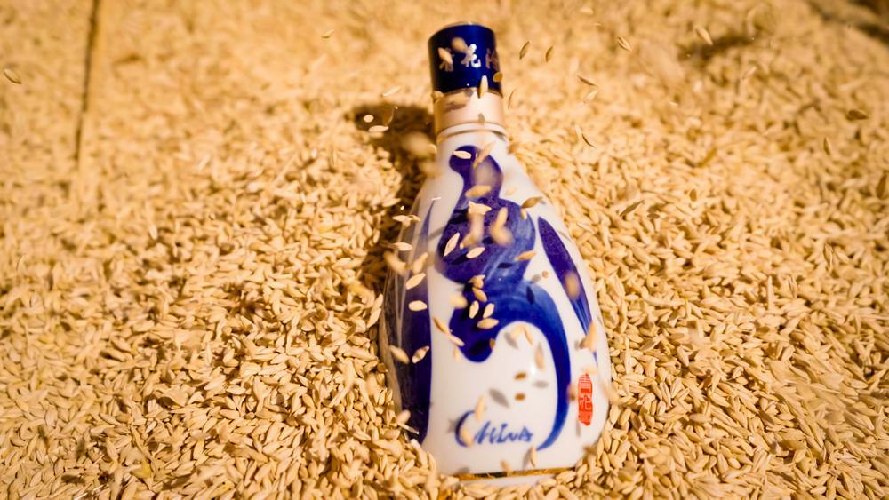 “汾酒第一车间”深入新疆奇台：厚植家国情怀，酿造大国清香