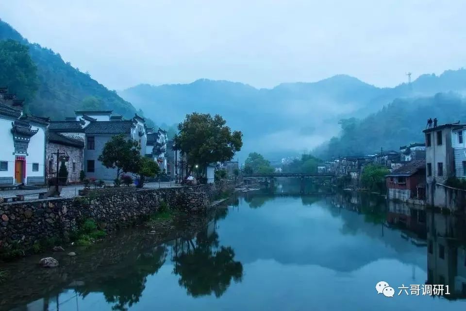 美团单量停止增长了
