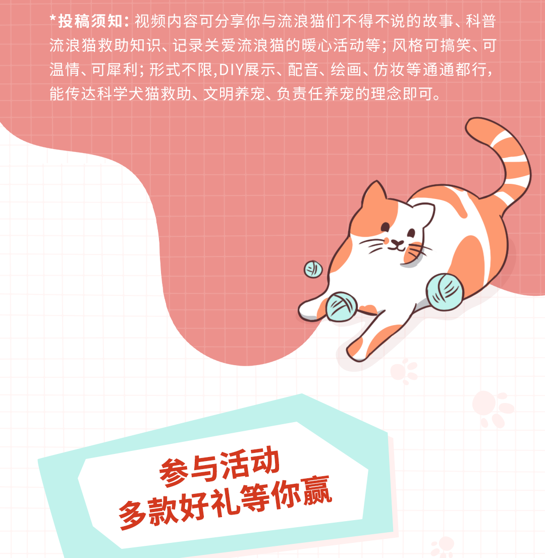 “喵哩汪哩”限时返场，今年我们上“绝”活儿！