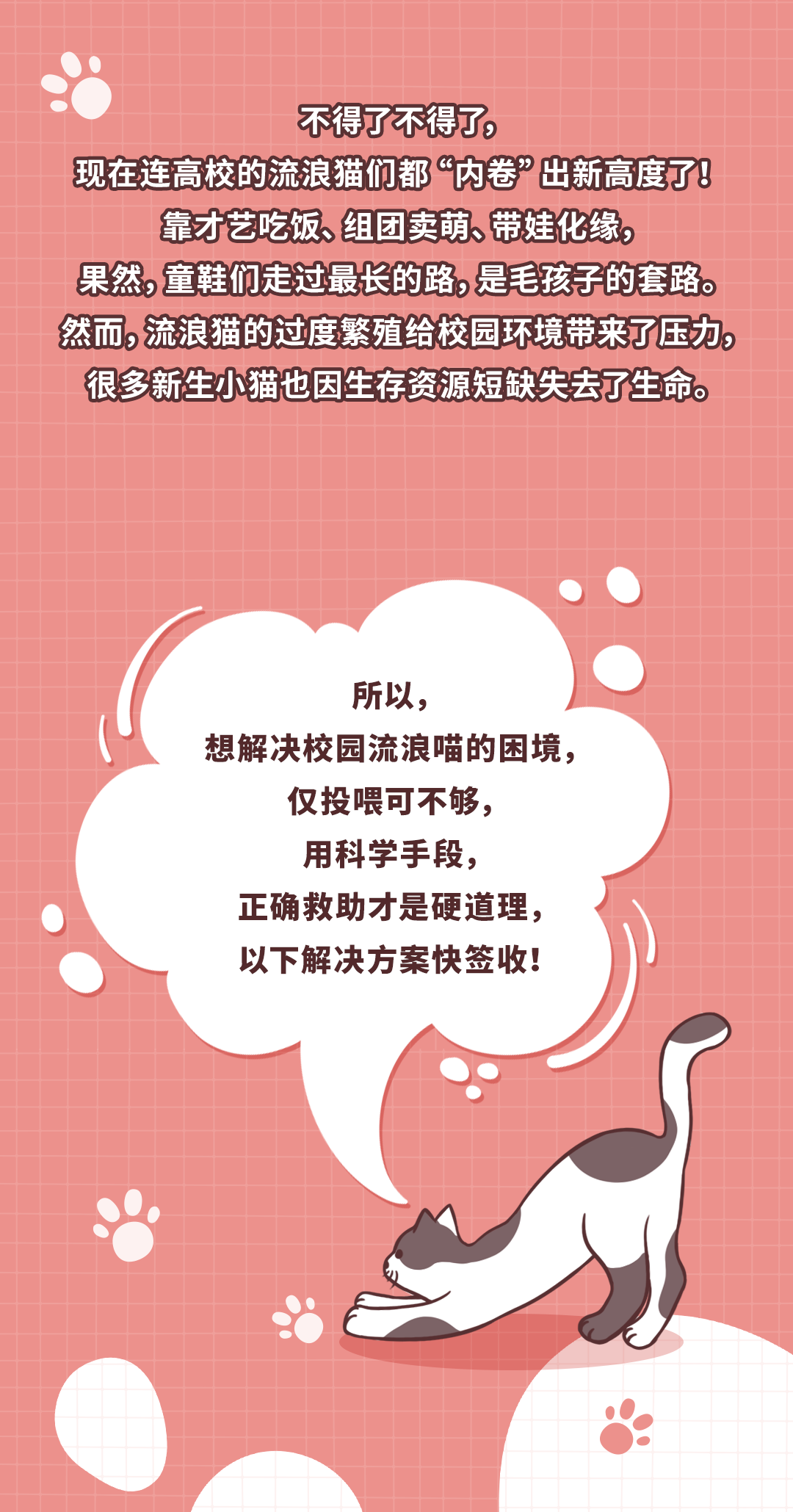 “喵哩汪哩”限时返场，今年我们上“绝”活儿！