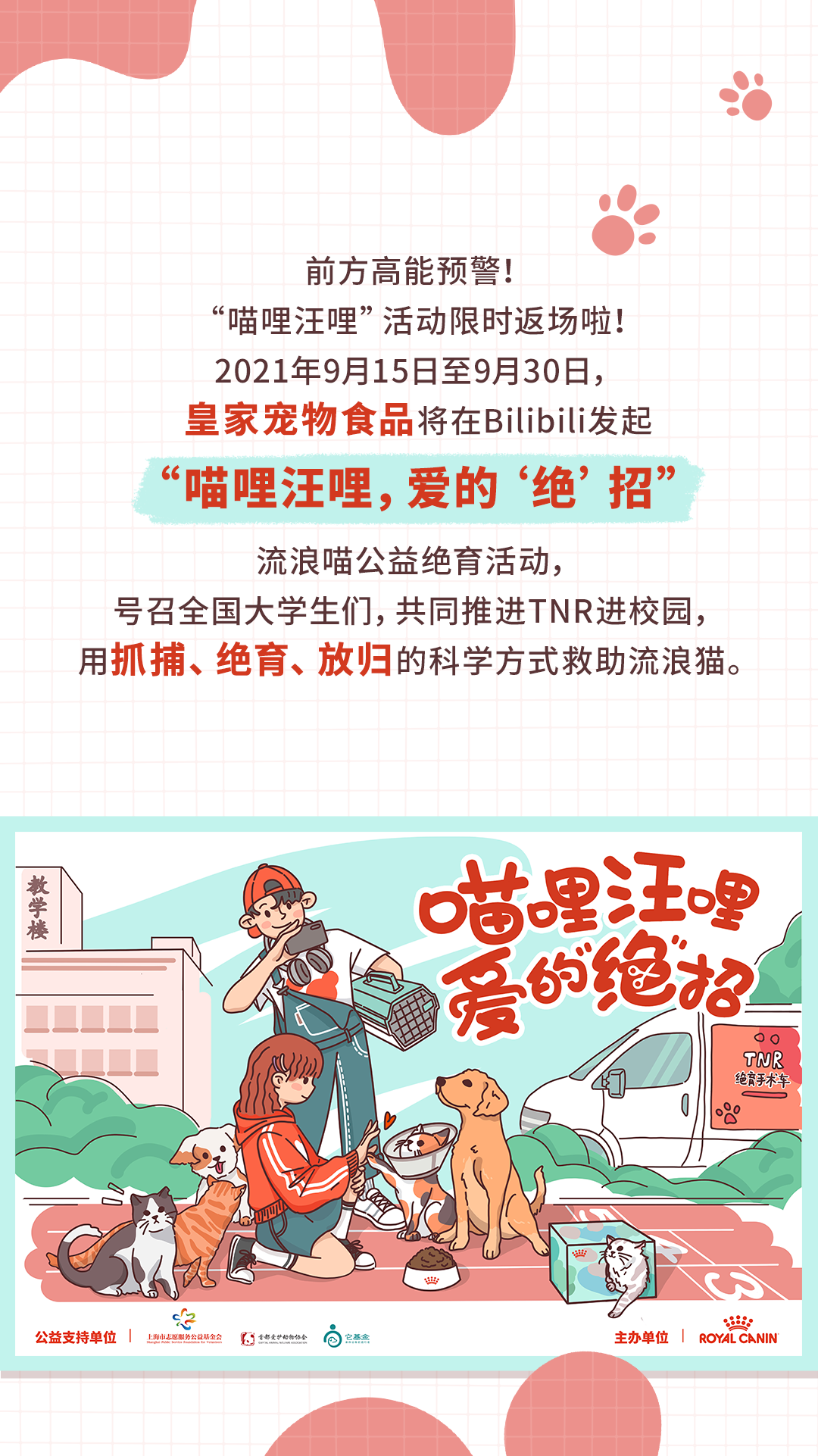 “喵哩汪哩”限时返场，今年我们上“绝”活儿！