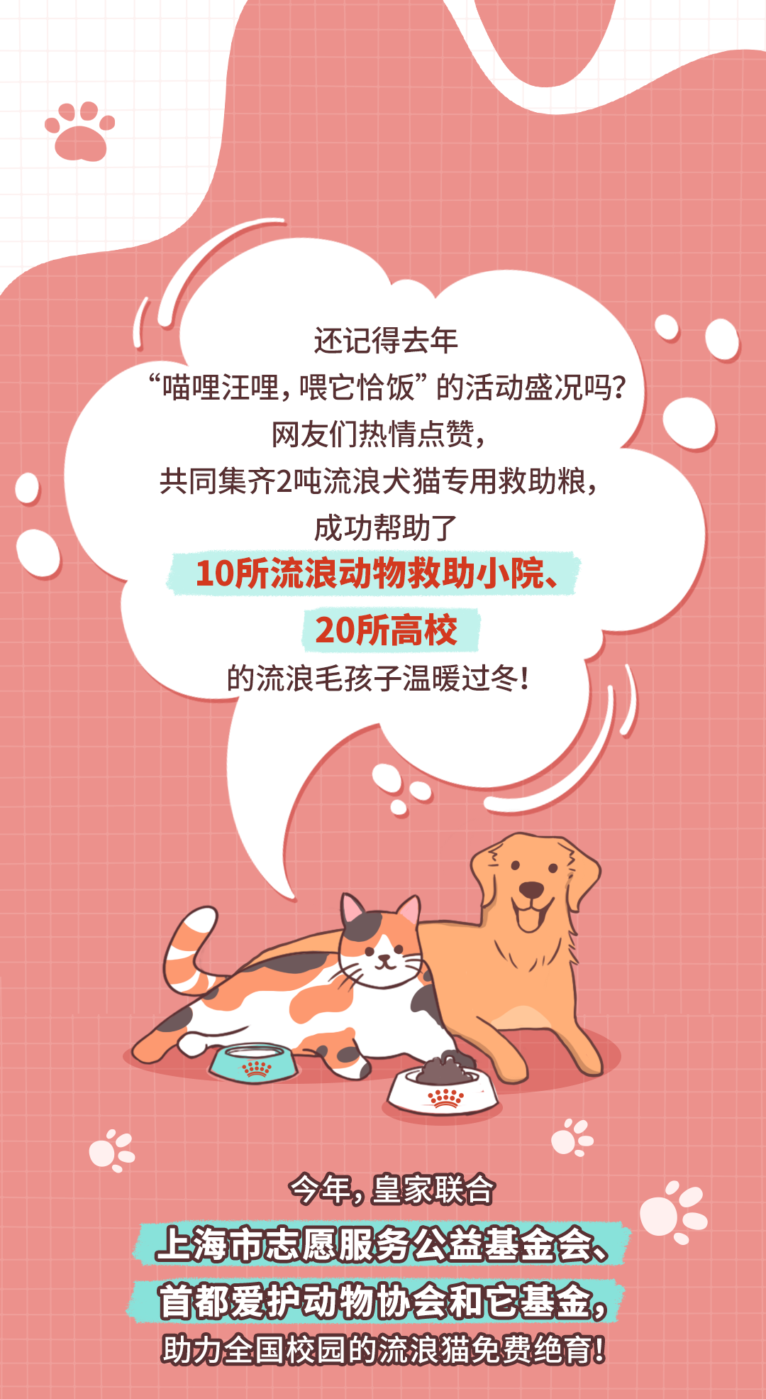 “喵哩汪哩”限时返场，今年我们上“绝”活儿！