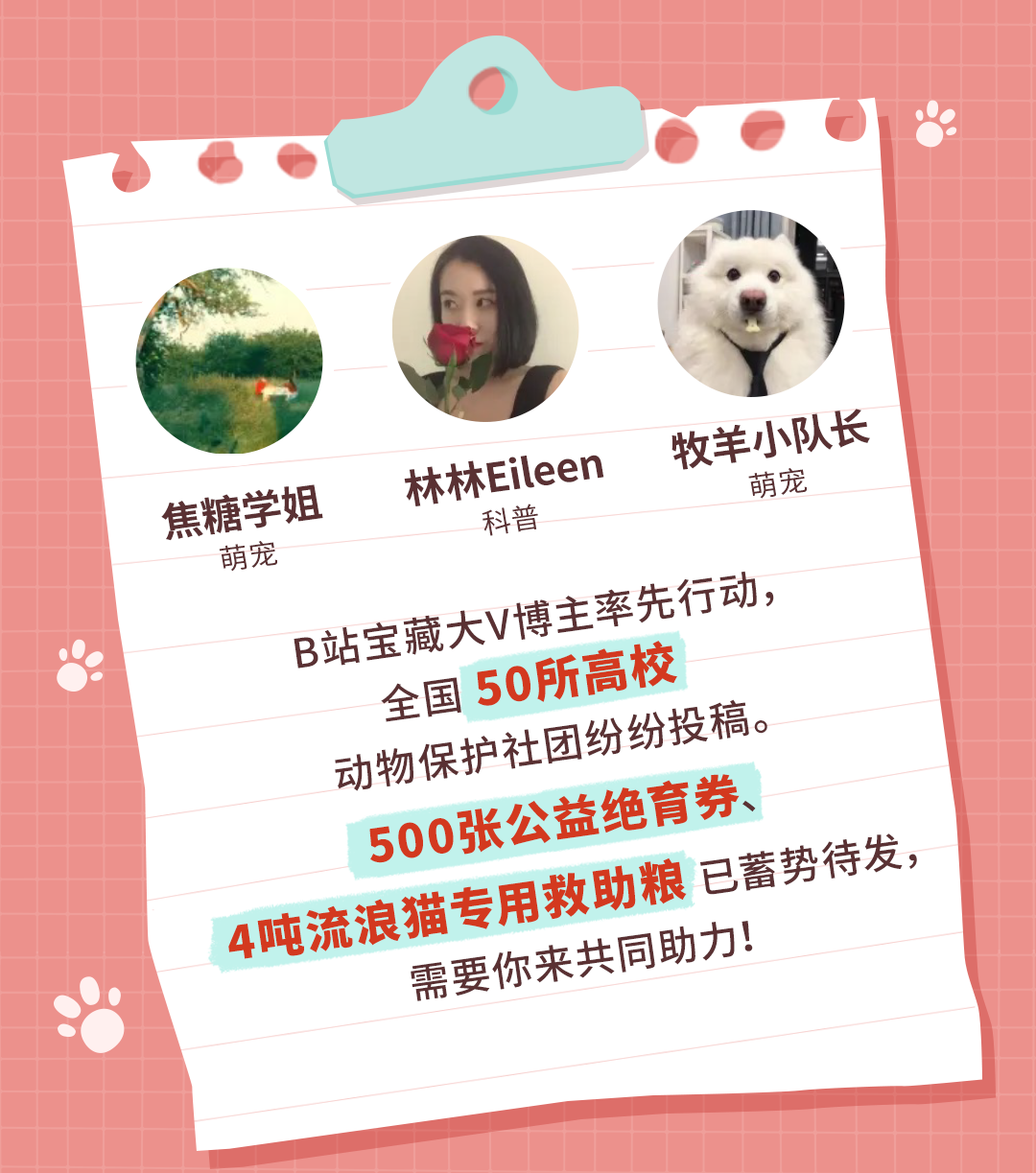 “喵哩汪哩”限时返场，今年我们上“绝”活儿！