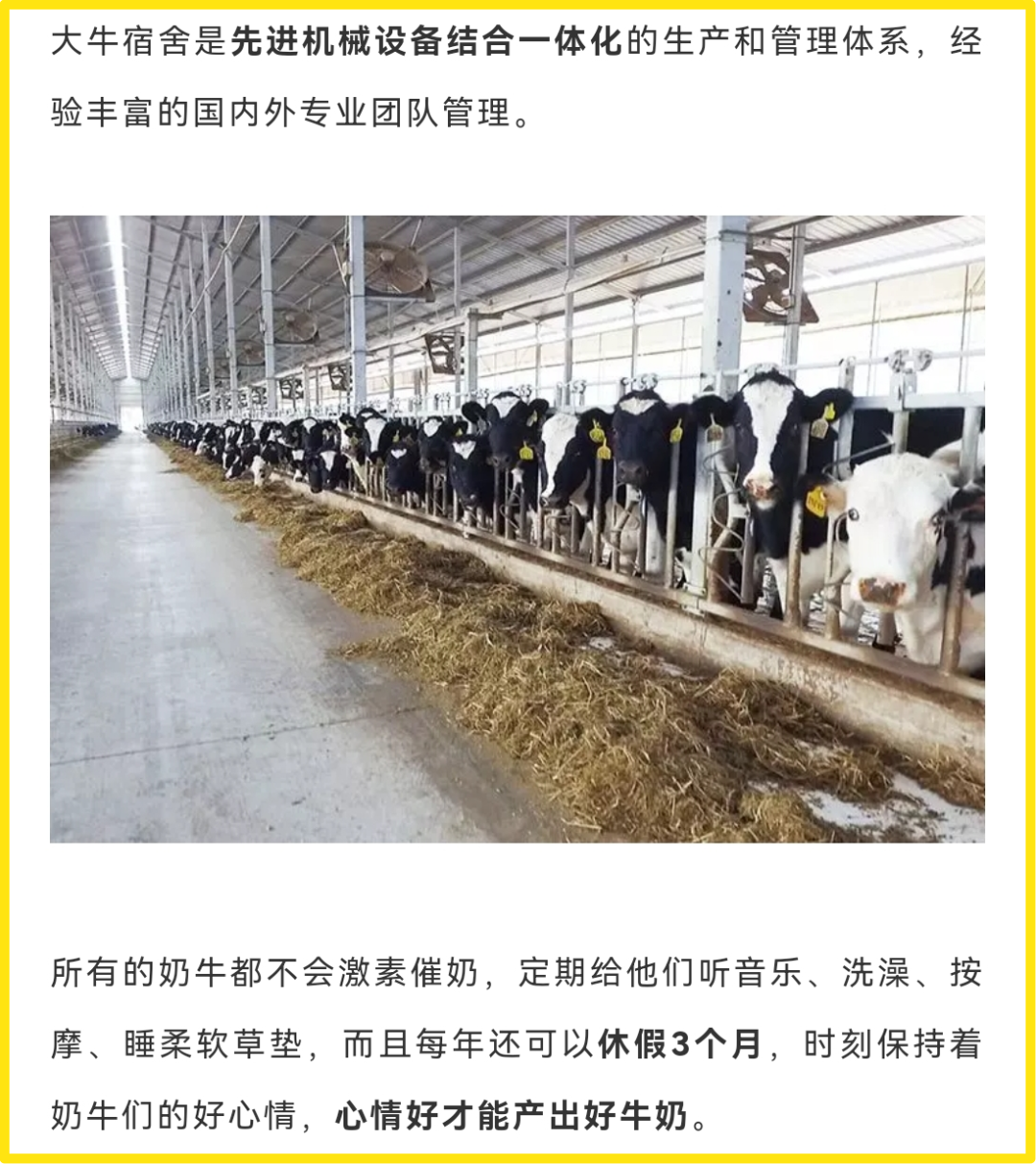 卖货思维撑不起新消费，打造长红品牌需要这4个环节