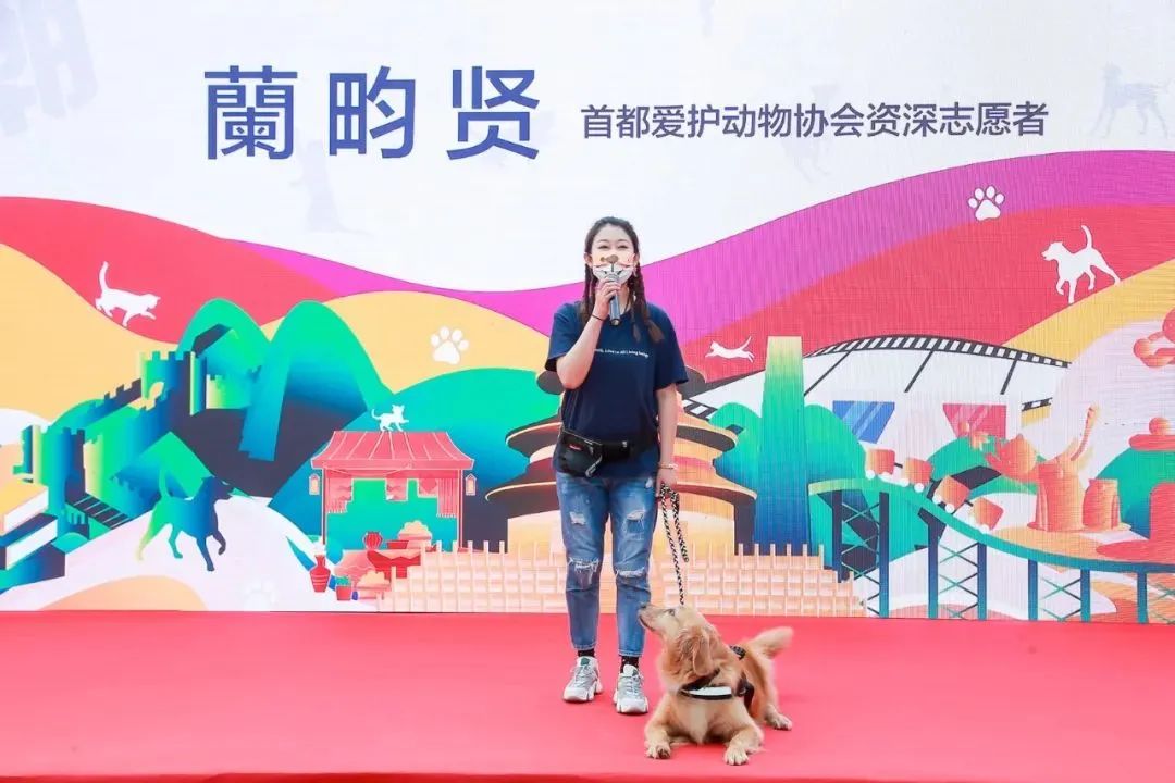 活动回顾丨首届“宠享潮生活”文化市集来袭,邀您来“撒”!