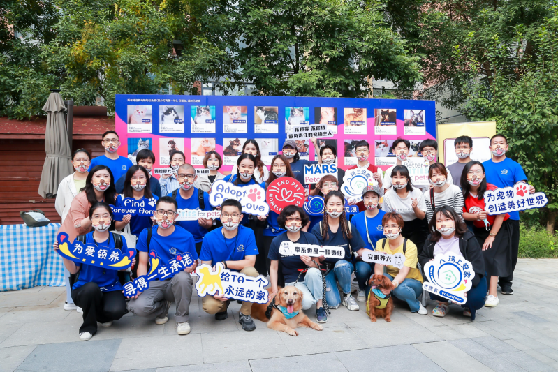 活动回顾丨首届“宠享潮生活”文化市集来袭,邀您来“撒”!
