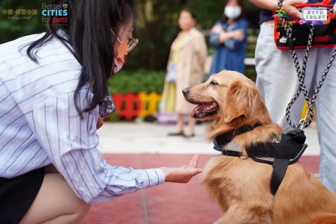 活动回顾丨首届“宠享潮生活”文化市集来袭,邀您来“撒”!