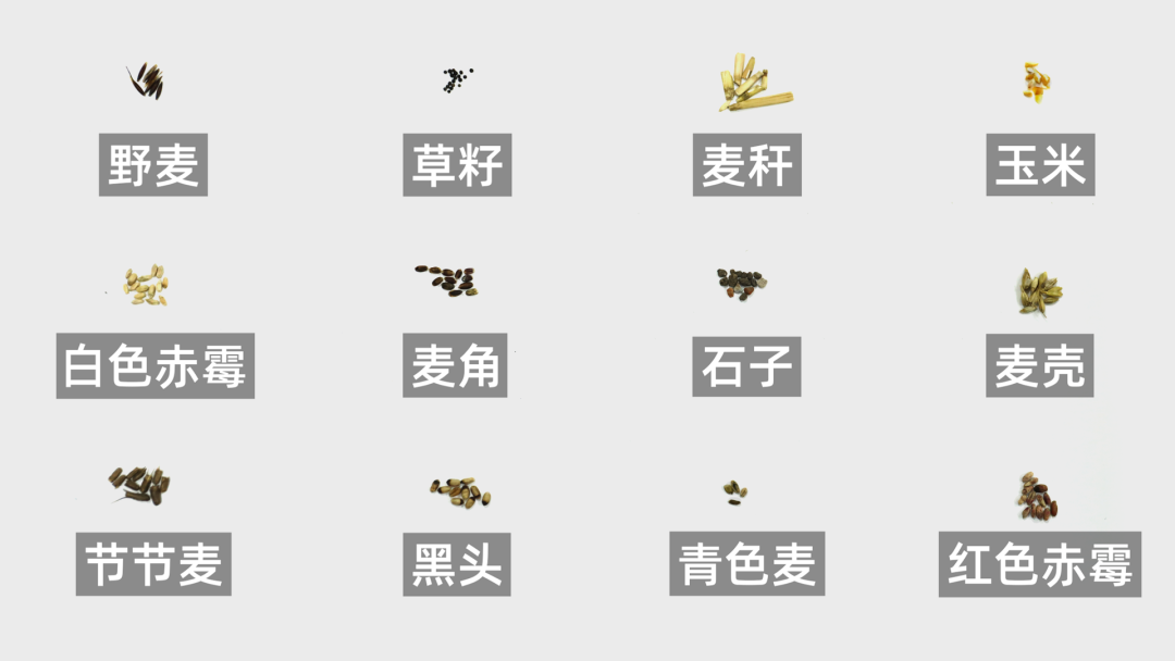 布勒DR-M小麦色选机,专为小麦应用研发定制