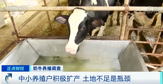 奶价上涨却赚不到钱！为啥？