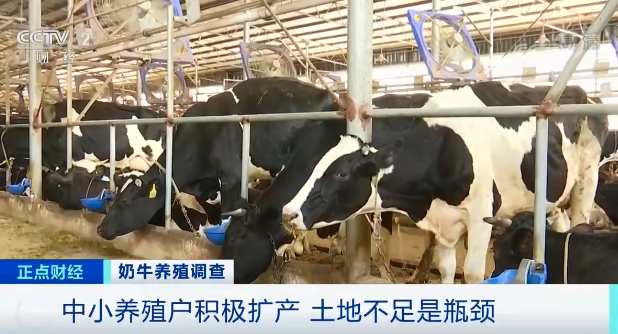 奶价上涨却赚不到钱！为啥？