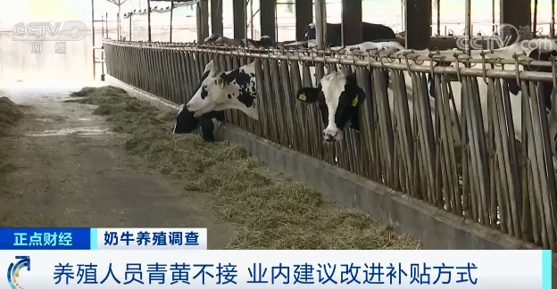 奶价上涨却赚不到钱！为啥？