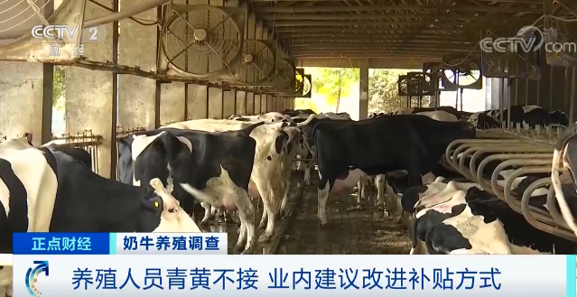奶价上涨却赚不到钱！为啥？