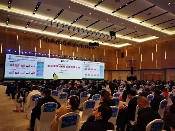 【布勒新闻】布勒出席“农业未来·国际合作发展大会”，智能化引领饲料加工未来
