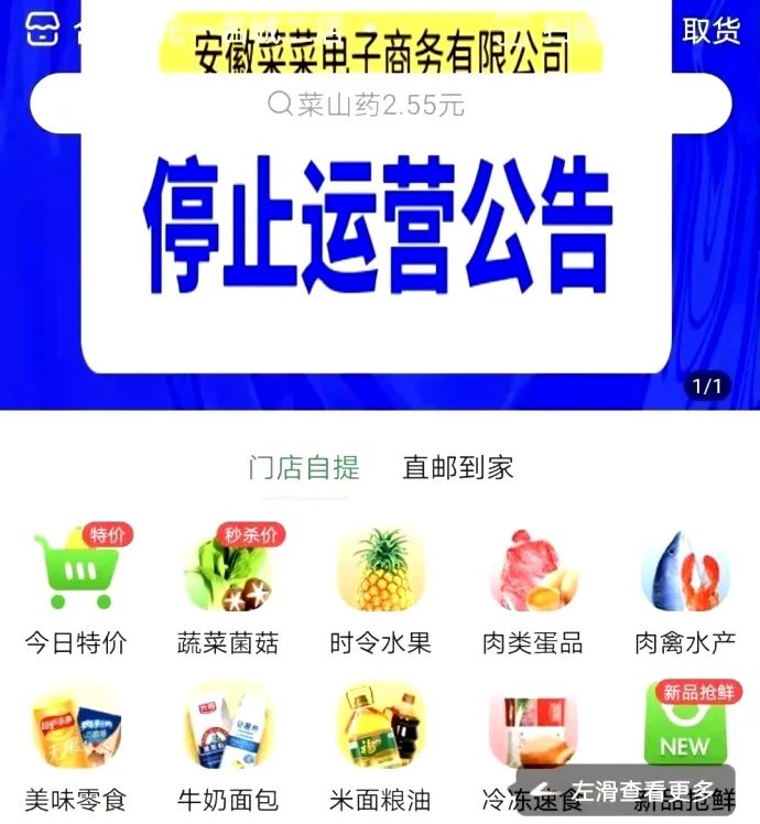 呆萝卜黄了