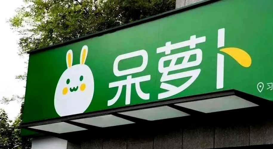 呆萝卜黄了