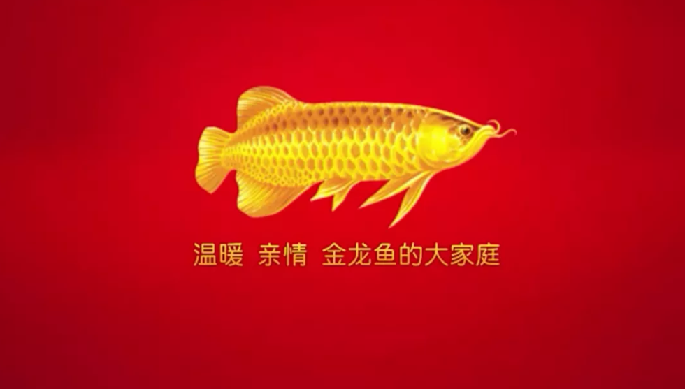 金龙鱼往事:从叔侄斗法到联手上市