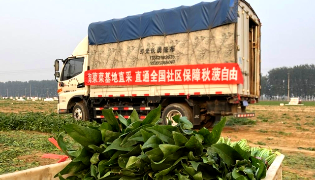 团购观察: 美团优选三方归一,兴盛优选坚毅守塔