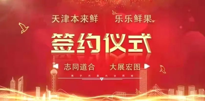 新店商突进
