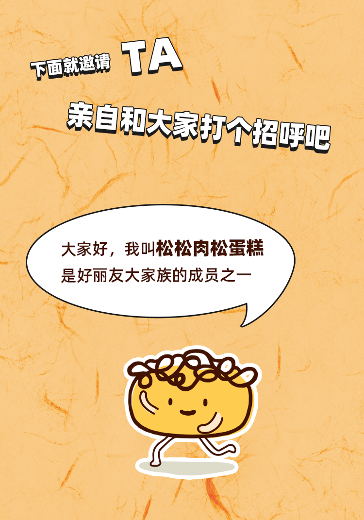 欢迎来到松松肉松蛋糕直播间