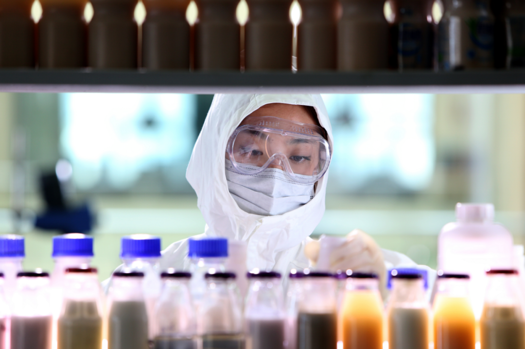 “国民挚爱”——简醇酸奶简史