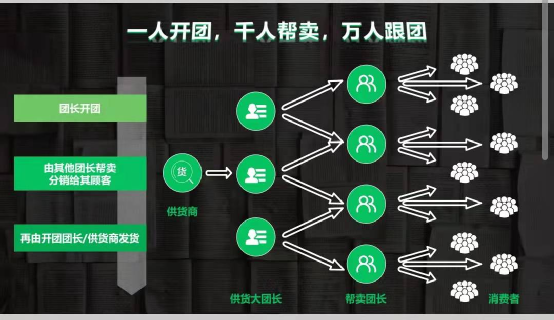 快团团的野心和边界