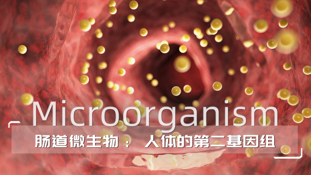 新希望乳业“菌种猎人”：自有菌种的探寻之旅……